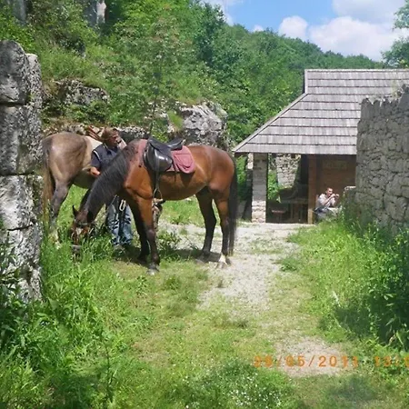 Dvori Stipanovi With Heated Pool And Jacuzzi *